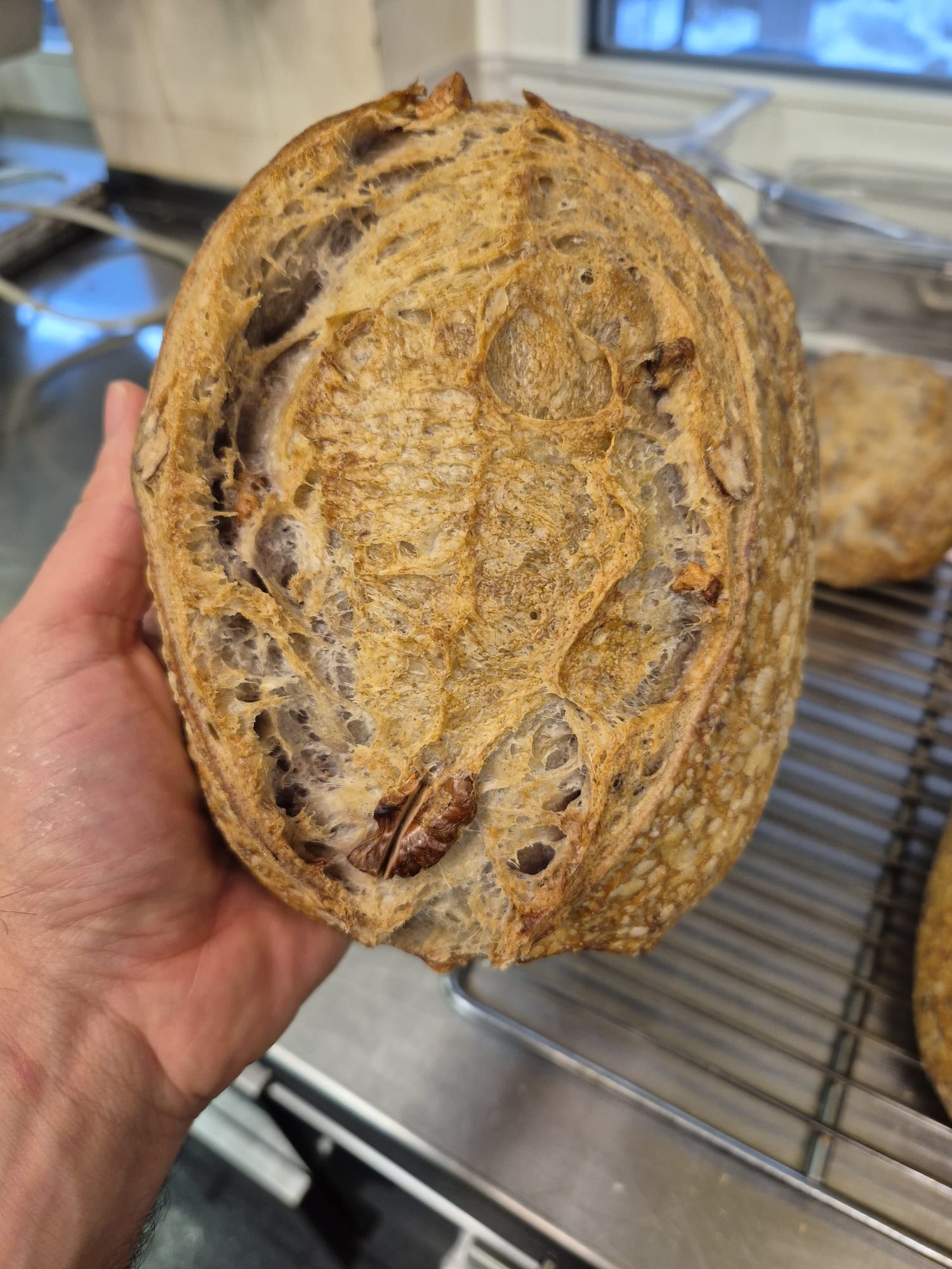 Freshly baked bread held in front of the cooling rack