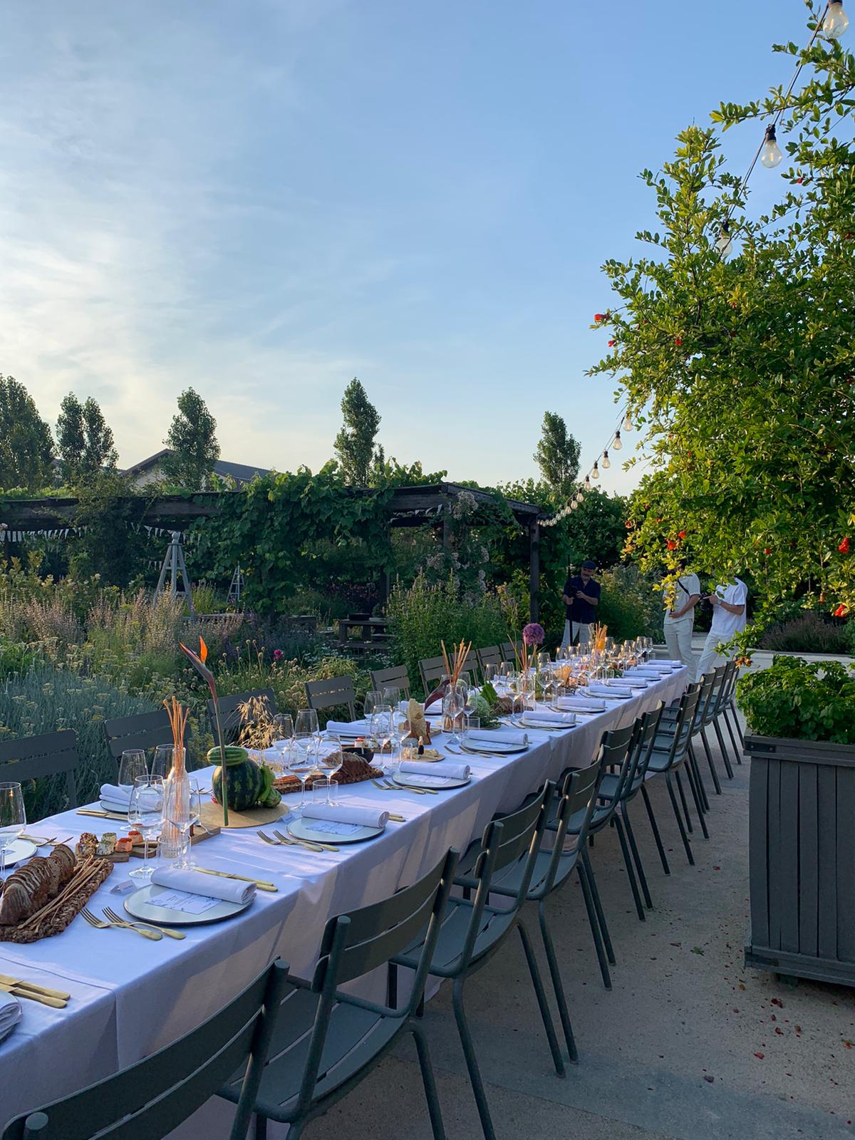 A long table set in a garden, among plants and hanging lights